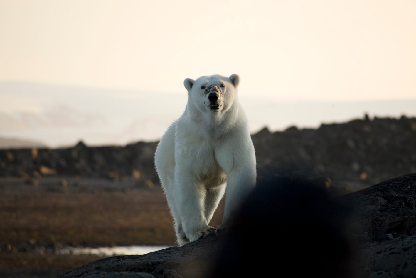 Svalbard